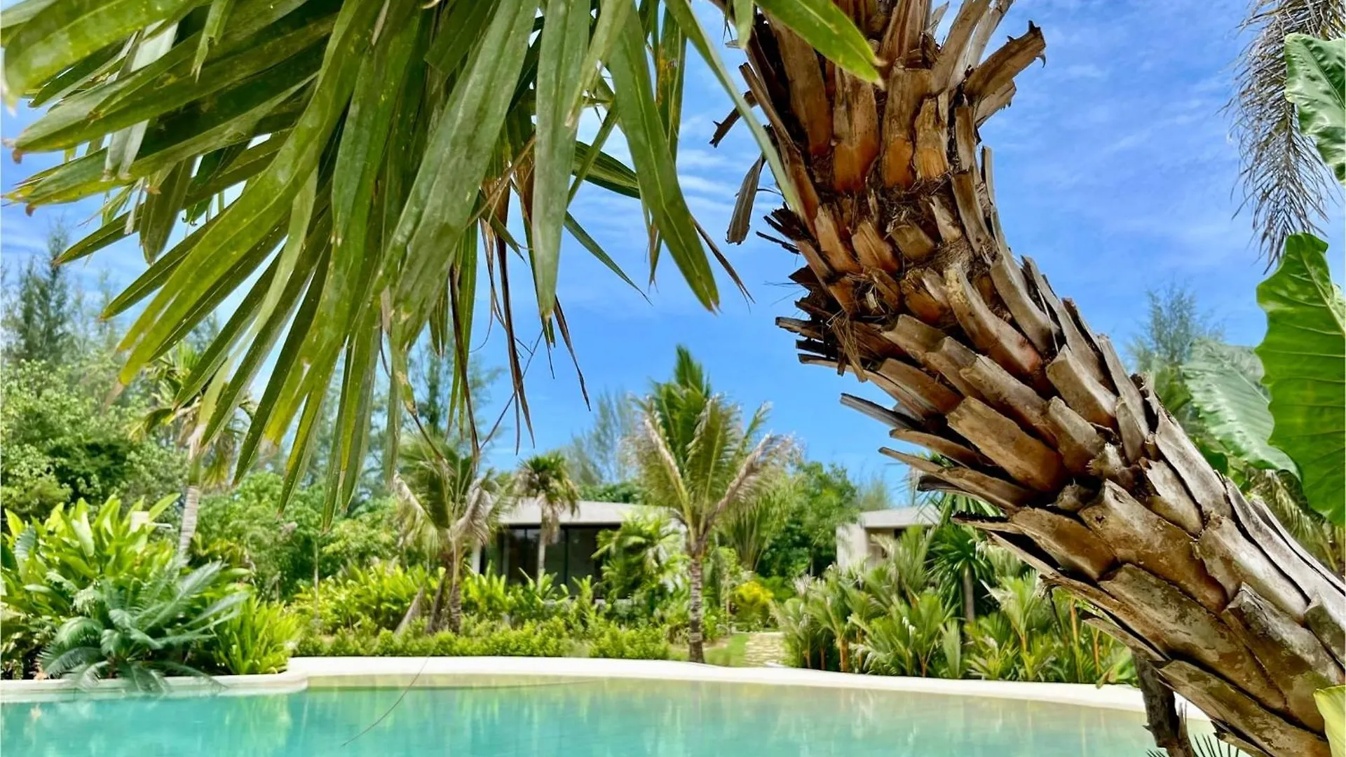 Cape Pakarang Wow Wild Wellness Escapes Hotel Khao Lak